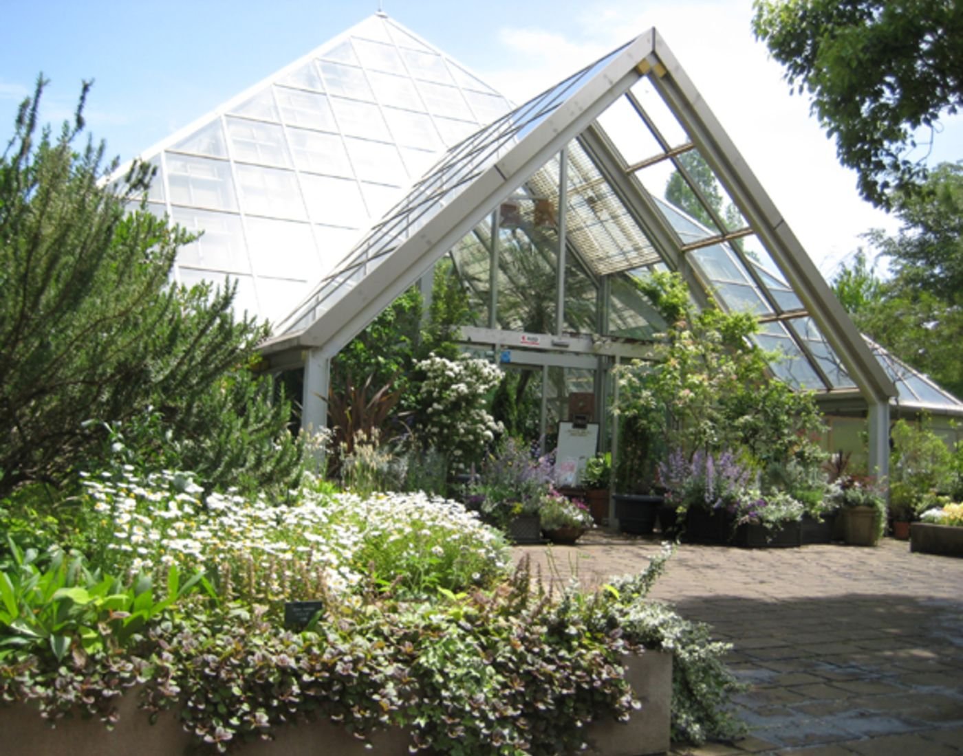 🌳 타마 중앙공원 (타마추오코엔) 이미지 5